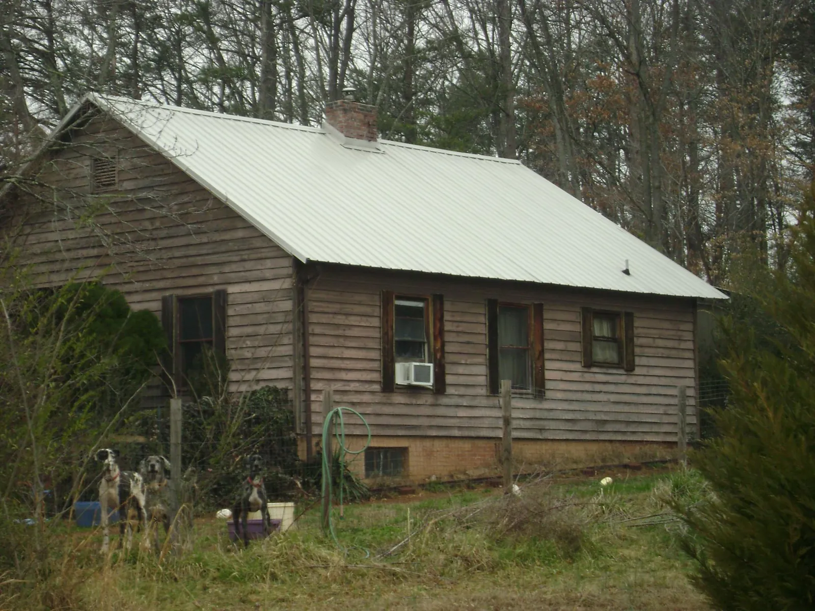 White metal roof on an old wood sided farmhouse, from a Metal Roof Installation job in Saint Johns